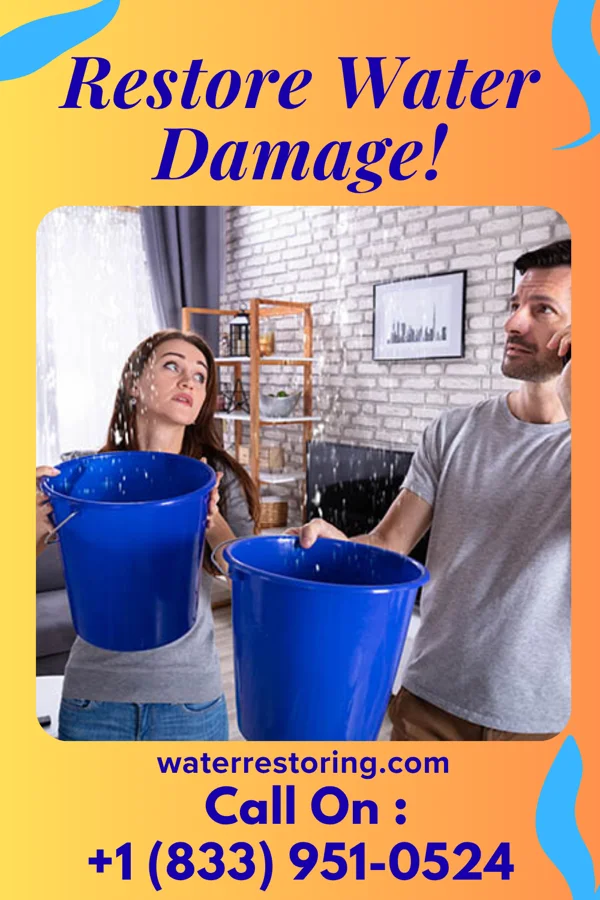 water restoration Western Water Removal Professionals Atascocita