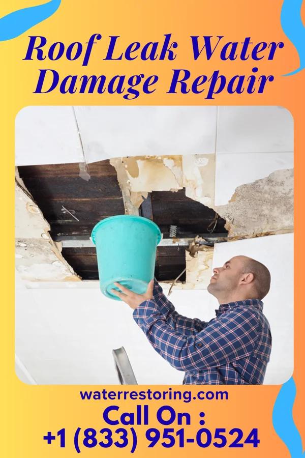 Roof Leak Water Damage Repair in Atascocita, TX