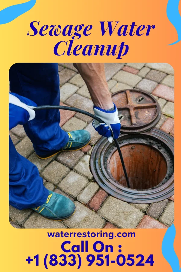 Sewage Water Cleanup in Atascocita, TX